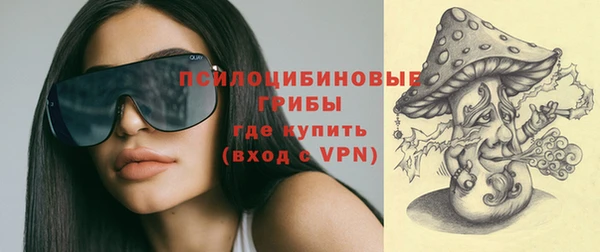 ECSTASY Алзамай