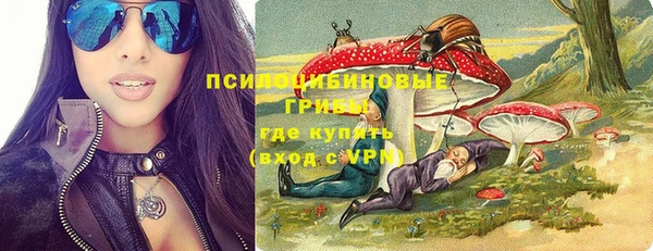 ECSTASY Алзамай
