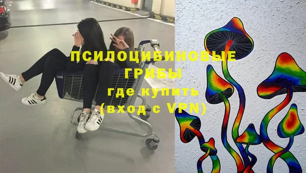 ECSTASY Алзамай