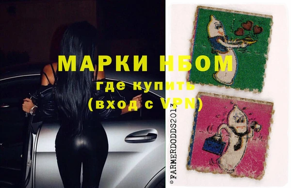 ECSTASY Алзамай