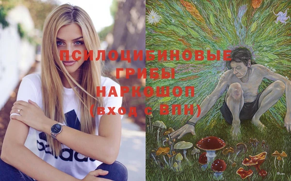 амфетамин Алексин